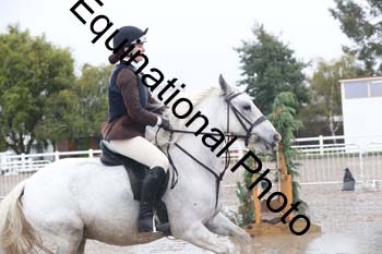 SBO-1197