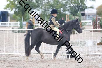 SBO-1398