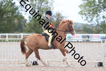 EPW-1222