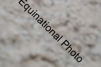 EPW-1225