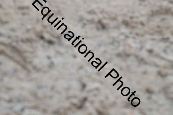 EPW-1226
