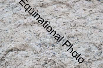 EPW-1265
