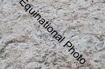 EPW-1266