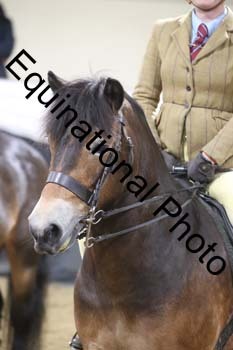 ALF-1160