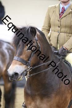 ALF-1161