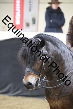 ALF-1165