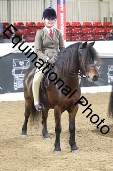 ALF-1168