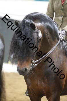 ALF-1183
