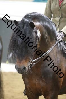 ALF-1184