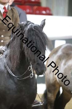 ALF-1188