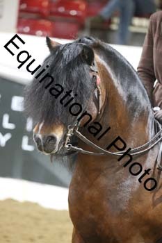 ALF-1201
