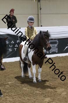 ALF-1203