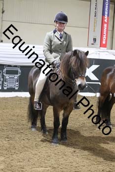 ALF-1208