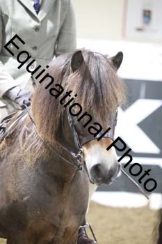 ALF-1213