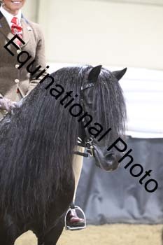 ALF-1223