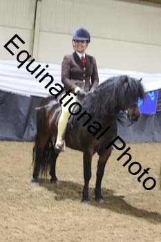 ALF-1229