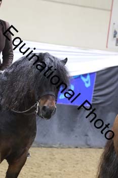 ALF-1230
