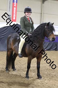 ALF-1234