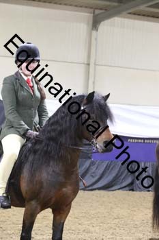 ALF-1239