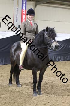 ALF-1253