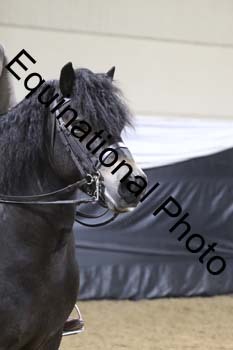 ALF-1255