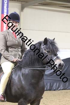 ALF-1258