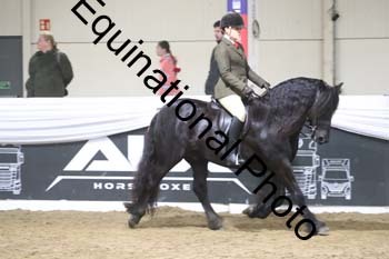 ALF-1356