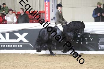 ALF-1363