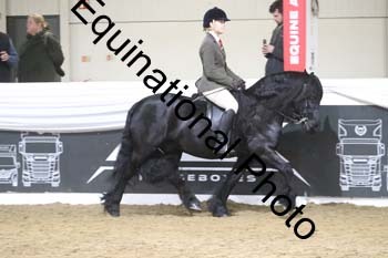 ALF-1365