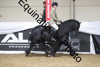 ALF-1374