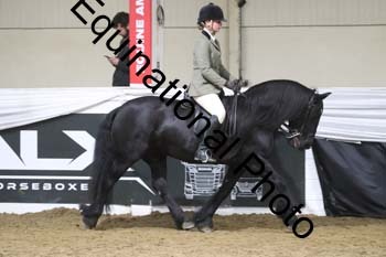 ALF-1382