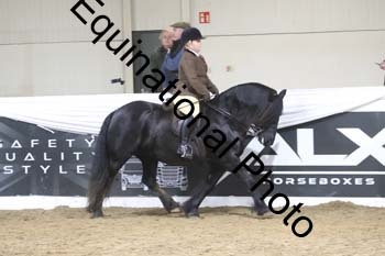 ALF-1393