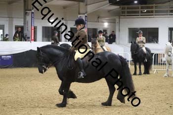 ALF-1443