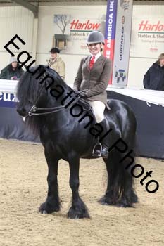 ALF-1563