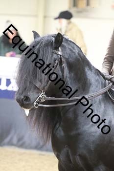 ALF-1564