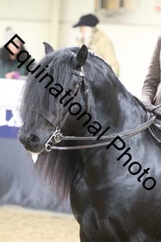 ALF-1565