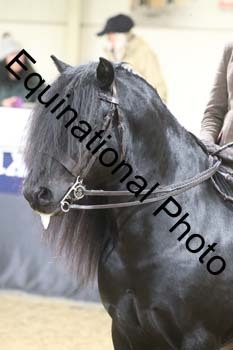 ALF-1566