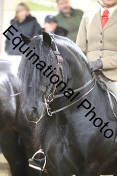 ALF-1574