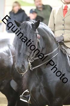 ALF-1575