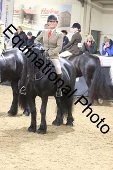 ALF-1578