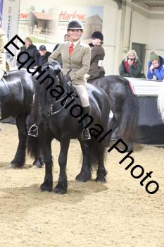 ALF-1579