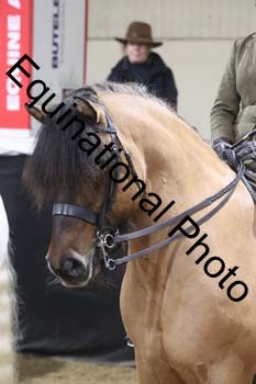 ALF-1592