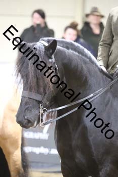 ALF-1601