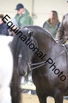 ALF-1605