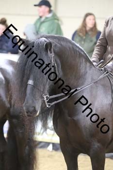 ALF-1607