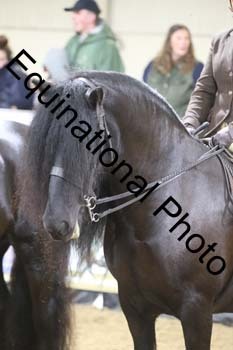 ALF-1608