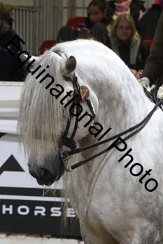 ALF-1612