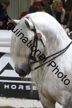 ALF-1613