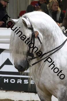 ALF-1614