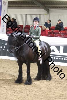 ALF-1626